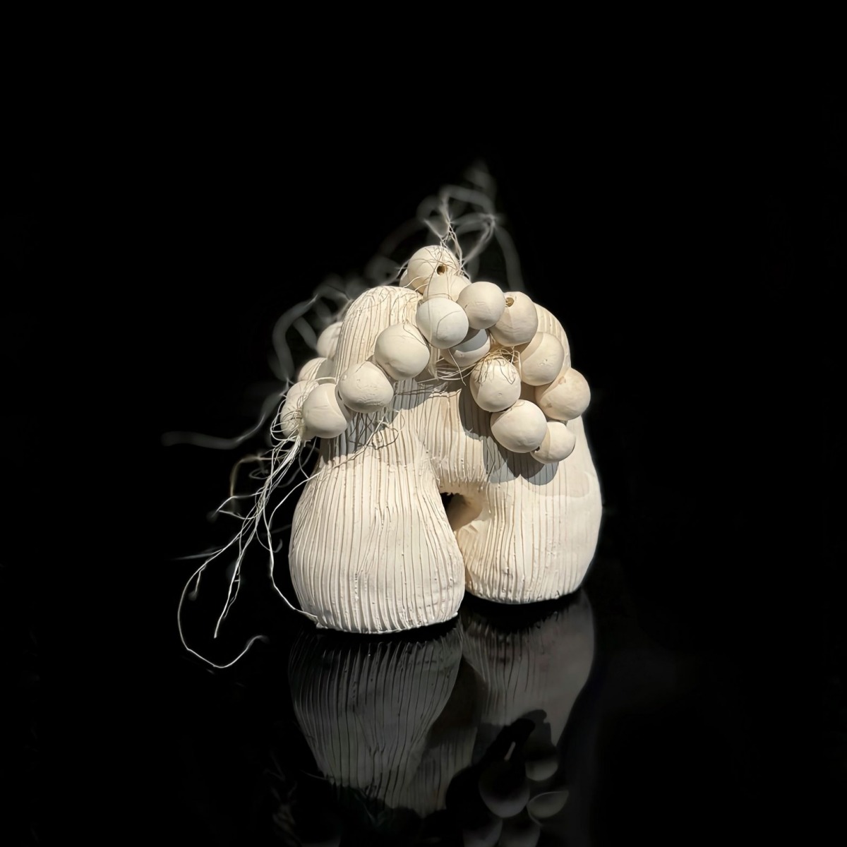 53f987b1-40b4-4c0d-b360-4015967ae5a6