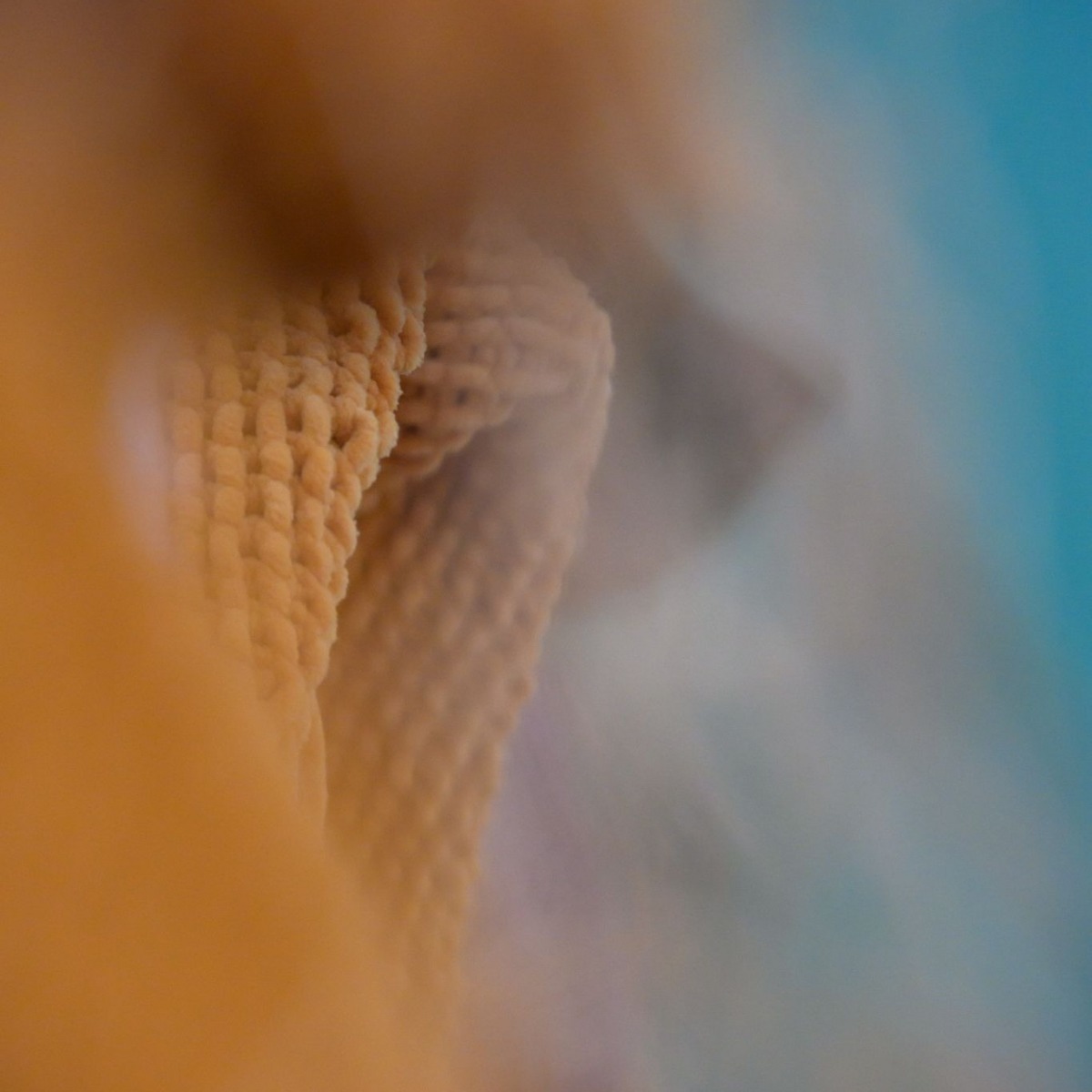 6d0422ca-e025-4f28-85df-40eabc9d2505